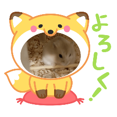 Daichi_20251005114340