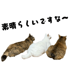 NyanTT_20251005144044