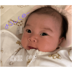 watoson_20251005125249