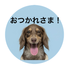 KOTO_MI20251005155333553