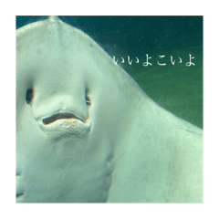 ka_20251005155201