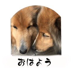 Non_20251005163032