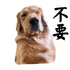 我媽還是沒生耐心給我