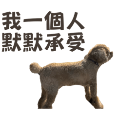 可愛辰辰2