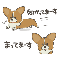 i am Corgi.(space saving)