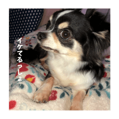 sososo_20251005171136