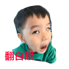 碩政日常