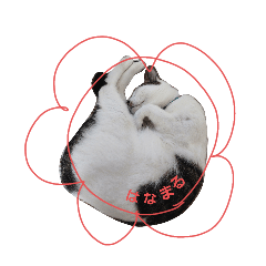 maimai_20251005173215