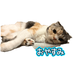 Y_20251005193905