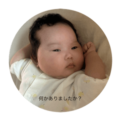 takeshi_20251005214121