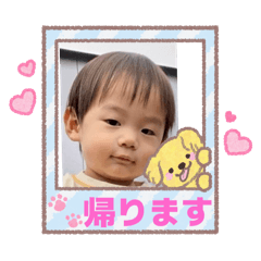 mamil_20251005202637