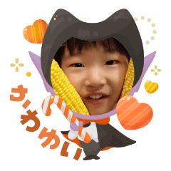 akari202510