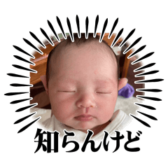 nanami_20251006000845