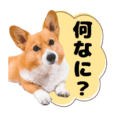 satomin_20251003163702