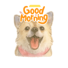 roriharu_20251003174057