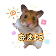 yumi_20251003181307