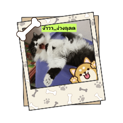 supapron_20251005191713