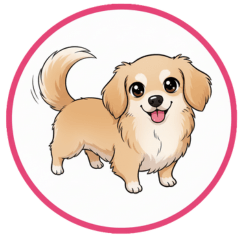 Kurumi, the Chiweenie