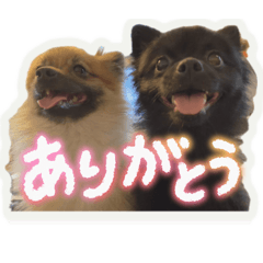 mimami_20251003194836