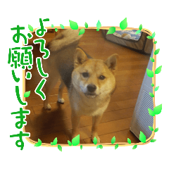 Panchan_20251003195411