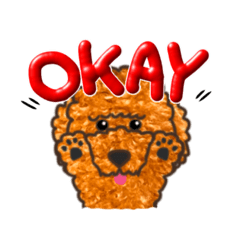 トイプードルのじょうくん2