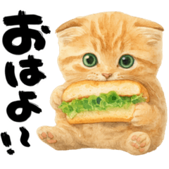 優しい水彩♡にゃんこ