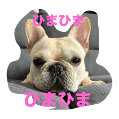 chikuwa_20251003220730