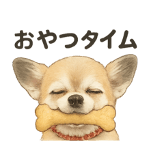 AI Chihuahua of the Noriharu Family