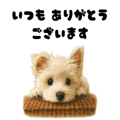 Dog stamps with polite, long phrases