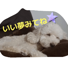 yurina_20251004054957