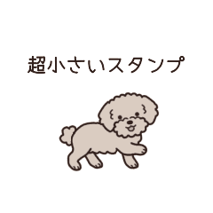 やさしいトイプー『超ミニサイズ！』4