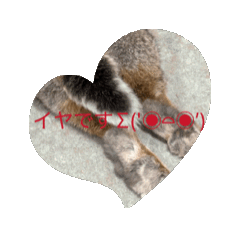 saori_20251004081425