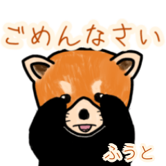 Fuuto's lesser panda