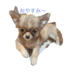 KAORU_20251004130413