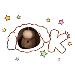 This pet nameis popo-chan