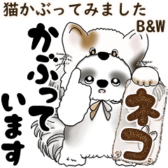 B&W シーズー犬 2025 「猫をかぶりました」