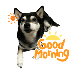 mizuki_20251005234105