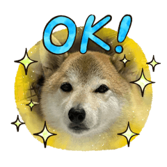 hiyoyo_20251005204246