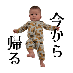 Maple_20251005205235