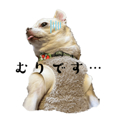 ayame_20251006101425