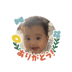 ringo_20251006084158