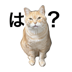 M_20251003235552