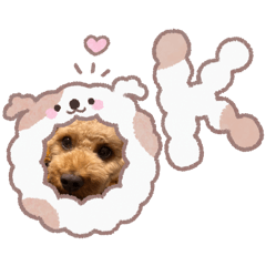 4 my dogs