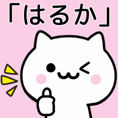 Cat Sticker For HARUKA