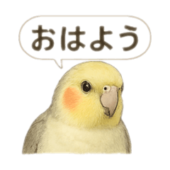 Stickers for Cockatiel Lovers