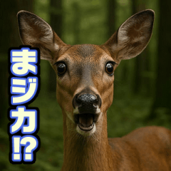 動物ダジャレ【日常会話・面白い・使える】