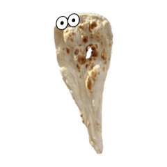 powapowa_20251004155856