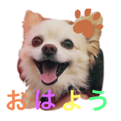 Nonchan_20251004183116