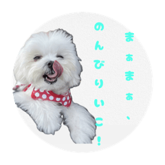 chapi_20251004200553