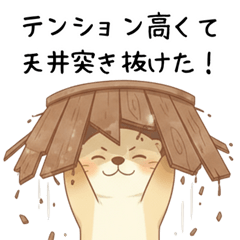 Positive, forward-thinking otter